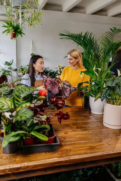 白种人中年金发女人在花店向亚洲女人买花的纵向照片 小企业企业家和植物护理概念 — 图库照片