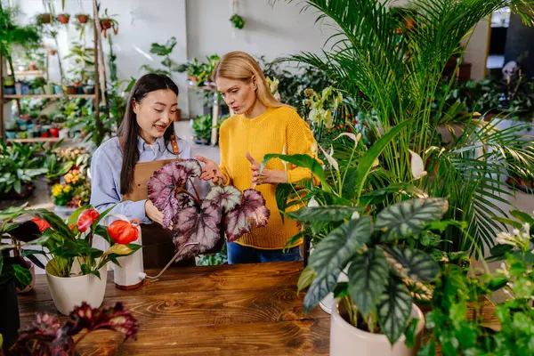Junge Erwachsene Asiatische Mitarbeiterin Gartencenter Zeigt Einer Kundin Pflanzen Und — Stockfoto