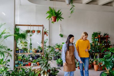 İki kadın, önlüklü genç bir Asyalı işadamı ve orta yaşlı güzel bir sarışın, bir çiçekçiye giderler ve çeşitliliği gözlemlerler..