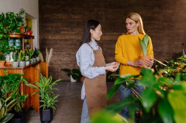 Asyalı kadın çiçekçi dükkanındaki orta yaşlı kadın müşteriye saksıda çiçek yetiştirdiğini gösteriyor. Bahçe merkezindeki gülümseyen kadın müşteri bir çalışanla konuşuyor..