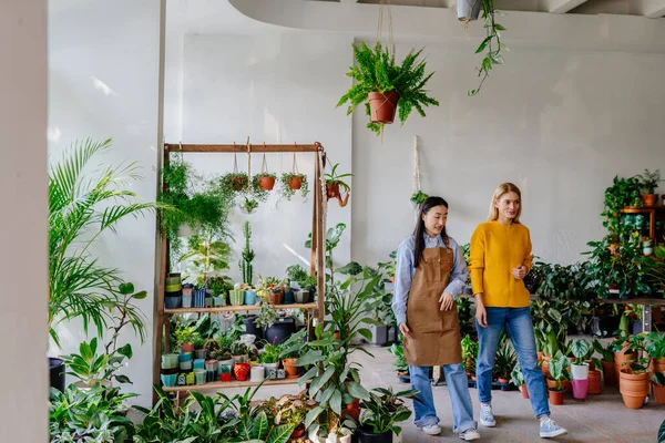 Eco-Friendly Flora Exchange: Shop Owner Guides Customer Surrounded by Abundant Potted Plants. Shelves of plants and flowers.