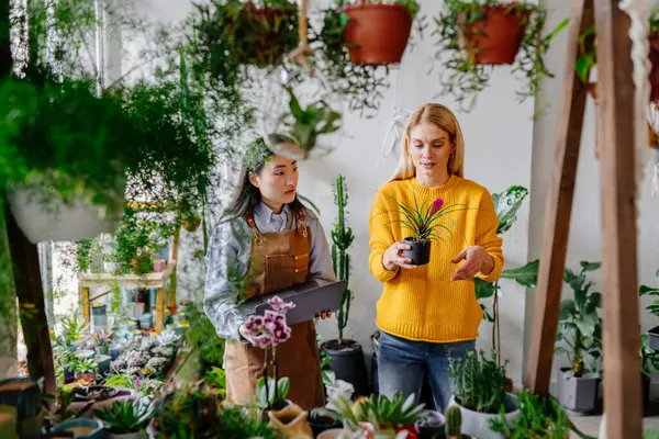 可持续绿化谘询 亚洲女店主 在郁郁葱葱的盆栽中带着笔记本 中年妇女穿着黄色毛衣在花店里买了一株植物 — 图库照片