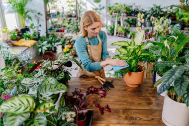 Çiçek Ustalığı. Orta yaşlı iş kadını, önlüklü, titizlikle çiçek dükkanındaki yapraklardan toz temizleyen, Uzay 'ın Huzurlu Yeşilliği' nin ortasında bir atölye düzenleyen.
