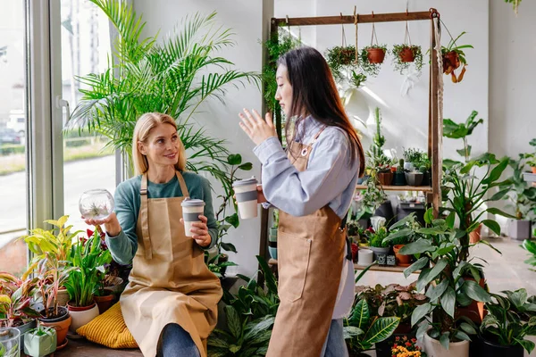 Two positive women employee smiling, looking each other, discussing about plant in pot, drinking coffee during break at plant store cozy interior.