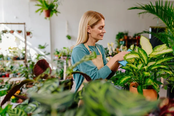 Blondýny Středního Věku Krásná Žena Obchodní Majitel Práce Aranžmá Zahradničení — Stock fotografie