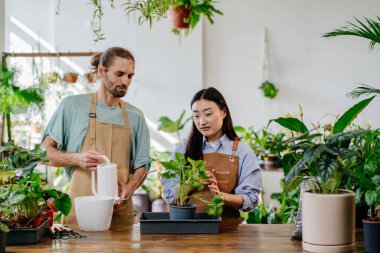 İki iş arkadaşı, beyaz erkek ve kadın. Bakım, sulama, saksı dikme, saksı dikme. Fabrika mağazasında takım halinde çalışıyorlar..