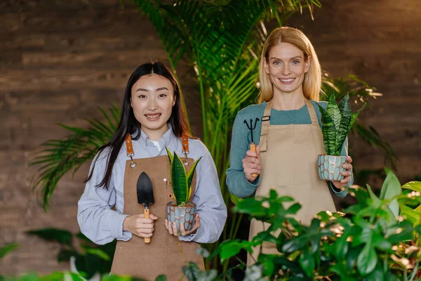 Two positive women employee smiling, looking at the camera, holding gardening tools and potted flowers while working in greenery, concept of horticulture.