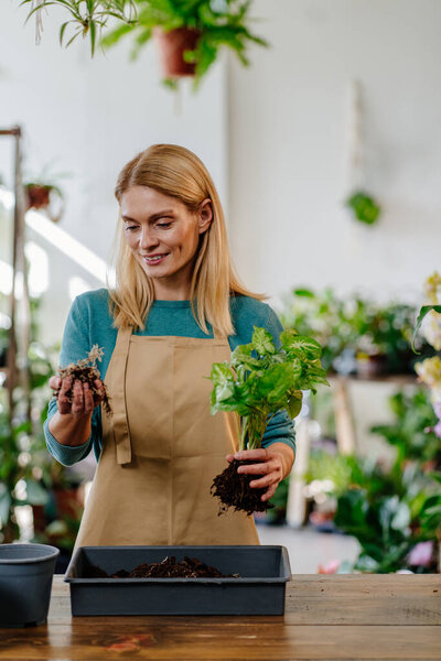 Vertical Photo Of Midlife Blonde Enthusiast Joyfully Engaged in the Repotting Process, Infusing Each Moment with the Pleasures of Plant Care.