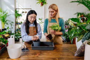 Orta yaşlı beyaz kadın, Asyalı asistana bilgi ve becerilerini geliştirmesi için sabırla yardım eder. Su tenekesi, bahçe aletleri, ahşap bir masada taze toprak..