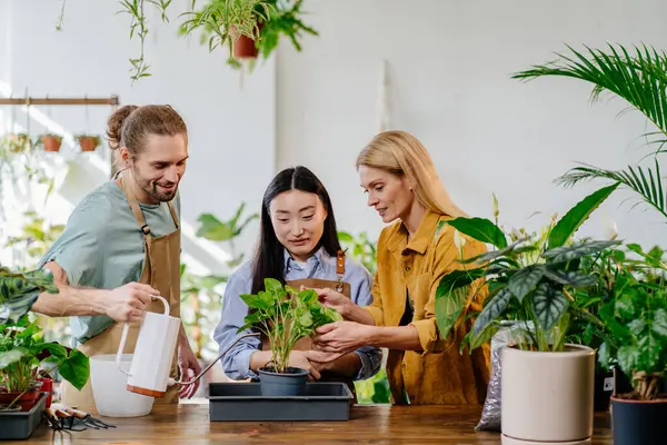 花店的工作日很忙 亚洲女人 年轻男人和中年成功的金发女业主在一起 男性浇灌植物 种植植物的概念 — 图库照片