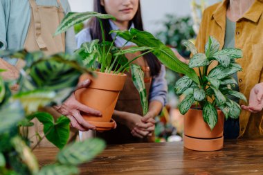 Farklı bitki ve çiçeklerle dolu bir dükkanda elinde kerevit saksısı tutan tanınmamış insanlar. Fabrika işi, başlayın..