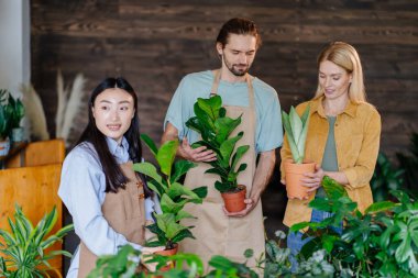 Çiçekçi dükkanındaki insanlar, sarışın olgun bayan müşteriler evi için çiçek seçiyorlar. Alıcı serada iki bahçıvanla konuşuyor. Fabrika işi, başla. Küçük işletme, ev dekorasyonu konsepti.
