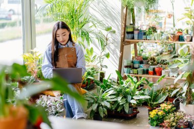 Küçük işletme, ev dekorasyonu konsepti. Asyalı bayan çiçekçi, küçük işletme çiçekçisinin sahibi, dizüstü bilgisayar kullanarak saksı ve bitkiler. Çalıştır. Küçük işletme kavramı.