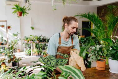 Önlük takan yakışıklı beyaz adam çiçekçide yeşillik özenle saksı bitkisini kağıda sarıyordu. Samimi çiçekçideki işinden zevk alıyor. Şehir ormanı ve bitki ebeveyni kavramı.
