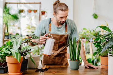 Önlük takan yakışıklı genç adam dikkatli bir şekilde saksıdaki çiçekleri suyla dolduruyor. Bitki bakımı ve ev bahçesi kavramı. Şehir ormanı ve bitki ebeveyni kavramı.