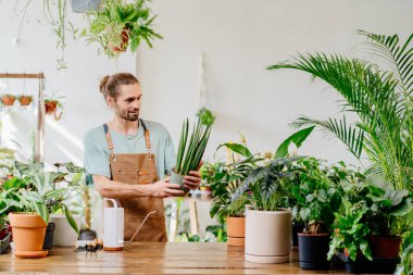 Yakışıklı bir erkek çiçekçi bir dükkanda ev yapımı çiçekleri seçer ve inceler. Çiçekçilik ve çiçek bakımı. Küçük işletme girişimcisi. Şehir ormanı ve bitki ebeveyni kavramı.