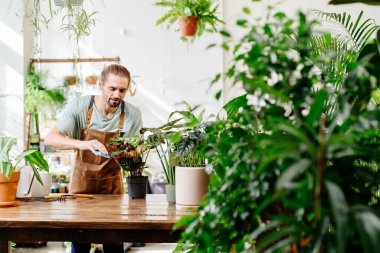 Kapalı alandaki güzel saksı bitkilerinin yapraklarını dikkatlice silen adam. Bitki bakımı ve ev bahçesi kavramı. Şehir ormanı ve bitki ebeveyni kavramı.