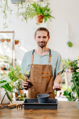 Bitki bakımı ve ev bahçesi kavramı. Tam zamanında bitki dikme, toprak değiştirme.