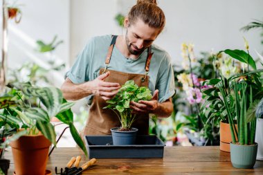Üniforma giyen yetişkin beyaz adam yerel bitkilerle, şehir ormanlarıyla ve bitki yetiştirme konseptiyle ilgileniyor..