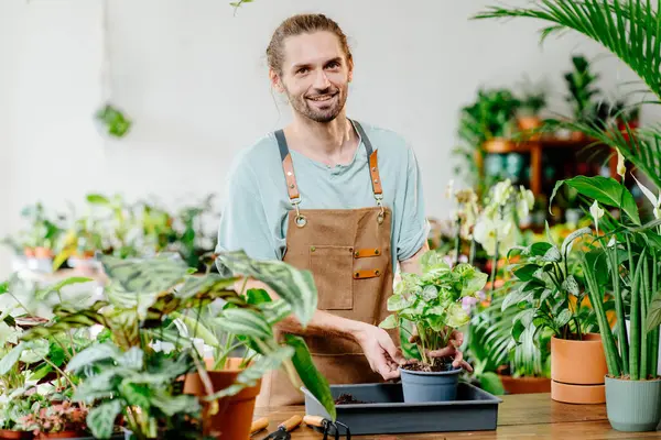 Tuinman Amerikaanse Man Schort Transplanteert Binnenplanten Met Behulp Van Schep — Stockfoto