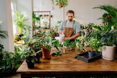 Küçük işletme girişimcisi. Üniforma giyen yetişkin bir beyaz adam yerel bitkilerle ilgileniyor şehir ormanları ve bitki yetiştirme kavramı..