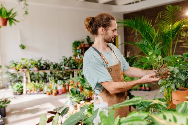 Çiçekçide gülümseyen çiçekçi, çiçekçide poz veren yakışıklı bir erkek bahçıvan. Çiçekçide küçük bir işletme sahibi.