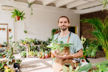 Çiçekçide poz veren sakallı bir çiçekçinin portresi. Küçük işletme girişimcisi.