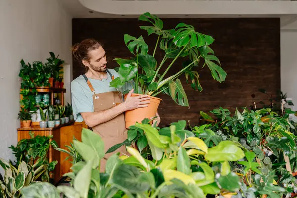 Male plant shop owner working with houseplants in store. Small business entrepreneur and plant caring concept.
