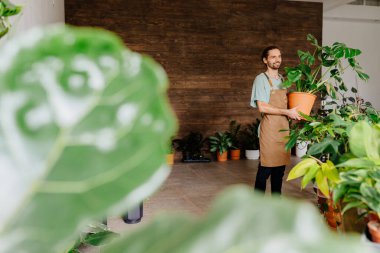 Dükkanda hoş geldin. Kafkas bahçıvanı önlük giyip saksıyla ilgileniyordu. Çiçekçilik ve insanların konsepti.