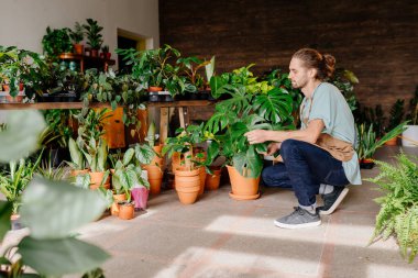 Çiçekçide çiçek büyümesini ve durumunu kontrol eden yakışıklı bir adam. Çiçekçilik ve insanların konsepti.