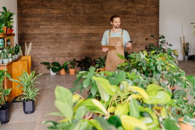 Küçük işletme, ev dekorasyonu konsepti. Profesyonel Kafkasyalı erkek çiçekçi saksı düzenler, küçük işletme rutinini uygular..