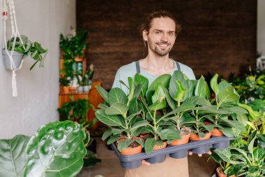 Çiçekçi dükkanının içindeki kendine güvenen beyaz erkek çiçekçinin portresi. Çiçekçilik ve insanların konsepti.