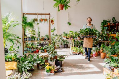 Kafkas bahçıvanı sera bahçesinde saksı bitkileriyle ilgilenirken tam boy. Çiçekçide çiçeklerle çalışan bir fabrika sahibi. Küçük işletme girişimcisi ve bitki bakımı konsepti.