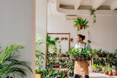 Küçük işletme, ev dekorasyonu konsepti. Profesyonel Kafkasyalı erkek çiçekçi, saksı düzenliyor, küçük bir işletmeyi günlük olarak kontrol ediyor. Küçük işletme kavramı.