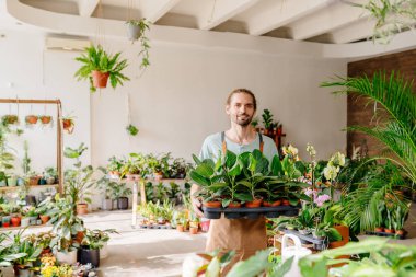 Bir serada gülümseyen ve kameraya bakan bir sürü ev bitkisi tutan beyaz bir adamın portresi. Çiçekçide, fabrikada çalışan bahçıvan..