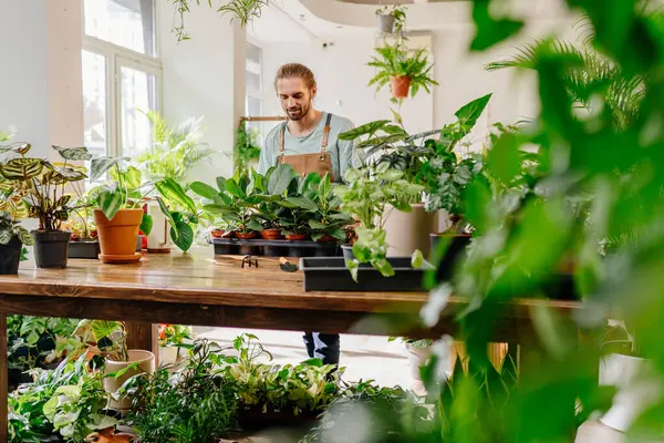 Blomsteraffärer Och Människor Koncept Nöjd Stilig Tusenårig Man Kontrollerar Växternas — Stockfoto