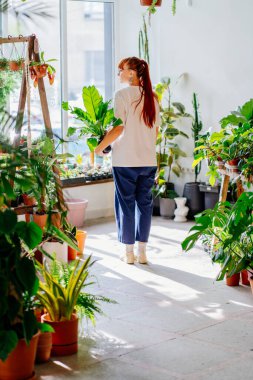 Bitkilerle ilgilenen bahçıvanlarla. Evde bahçıvanlık, bitki ve bakım sevgisi. Küçük işletme.