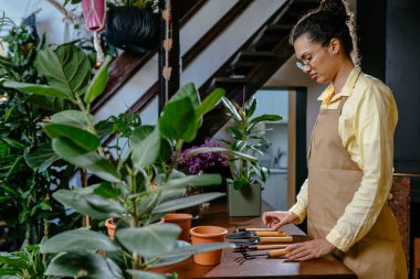 Çiçek, iş, dekorasyon konsepti. Genç Afro-Amerikan ilham verici kadın, modern çiçekçi dükkanında önlük giyiyor..