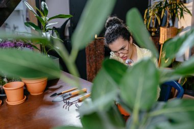 İş yerindeki Afro-Amerikan kadın müfettiş asistanının yapraklarını atın. Çiçeklerle çevrili işyerinin tadını çıkarın. Çalışıyor, çalışıyor, seviyor, küçük işletme sahibi olarak..