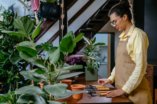 Çiçek, iş, dekorasyon konsepti. Genç Afro-Amerikan ilham verici kadın, modern çiçekçi dükkanında önlük giyiyor..