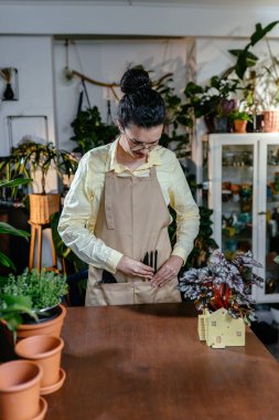 Afrika kökenli Amerikalı botanikçi kadın girişimci çiçekçi dükkanında çalışırken saksı bitkisinin yapraklarında midye arıyor. Dikey çekim.