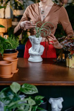 Kafkas kadın asistanının modern saksıda topraktan arınmış sulu bitkilerle birlikte çalıştığı dikey bir fotoğraf. Küçük işletme, girişimci ve meslek kavramı.