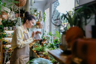 Afro-Amerikan girişimci güzel kadının kapalı alanda saksı tutarken yan görüntüsü. Çiçekçide önlük giyen gülen yüzlü bahçıvan. Küçük işletme, girişimci ve meslek kavramı.