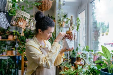 Saksıda bitkilerinin arasında duran başarılı, genç, bayan bir fabrika sahibi. Küçük işletme, girişimci ve meslek kavramı.