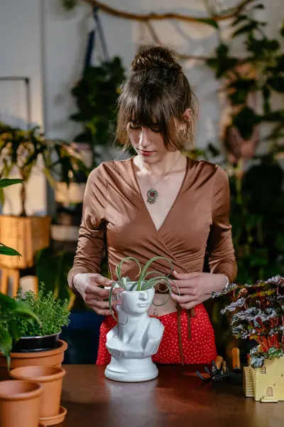 Plan Vertical Assistante Féminine Caucasienne Travaillant Avec Une Plante Succulente — Photo