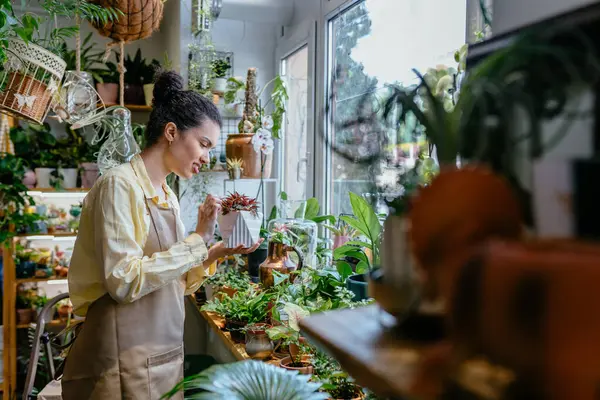 Afro-Amerikan girişimci güzel kadının kapalı alanda saksı tutarken yan görüntüsü. Çiçekçide önlük giyen gülen yüzlü bahçıvan. Küçük işletme, girişimci ve meslek kavramı.