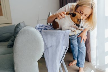 Evde rahat bir şekilde dolaşmadan önce bluzunu ütüleyen olgun sarışın bir kadın. Modern kadın, sevimli evcil hayvanıyla öpüşüyor ve sohbet ediyor. Ütü masasında oturan Jack Russell Terrier köpeği..