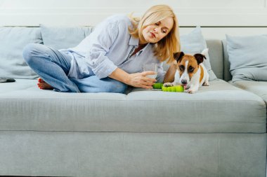 Hoş, olgun, orta yaşlı sarışın kadın oyunu, okşama ve evdeki sıcak bir evde otururken evcil köpek oyunu..