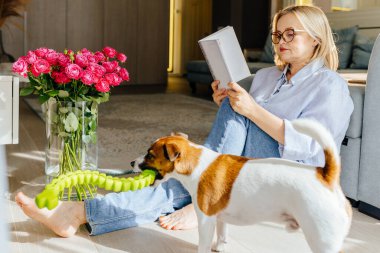 Büyüleyici orta yaşlı gözlüklü sarışın kadın oturma odasında oturmuş kitap okuyor köpeği, Jack Russell Terrier, yakınlarda oynuyor. İnsanlar ve evcil köpek dostluğu.
