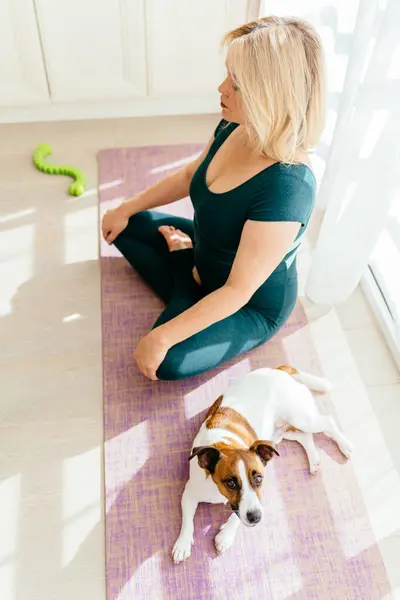 stock image Vertical shot of blond mature woman 55s practicing exercising with dog to enjoying and relaxing with yoga. Sports training home with pets.